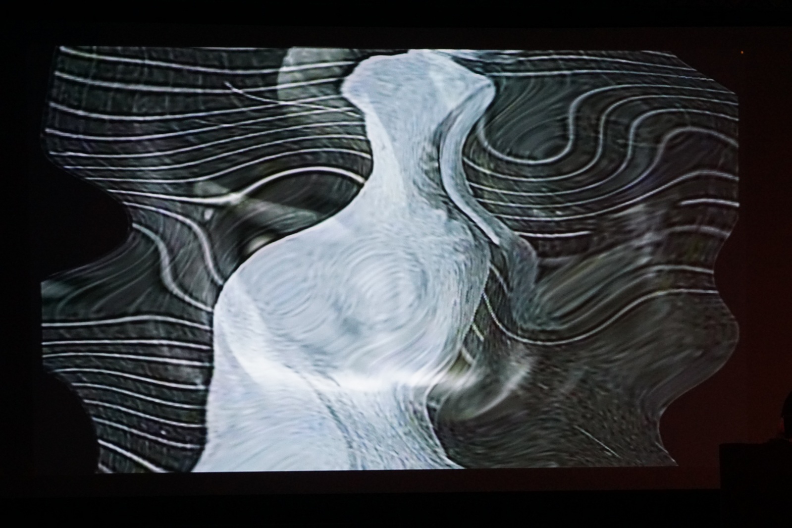 „Muybridge - reminiscencje” performans audiowizualny