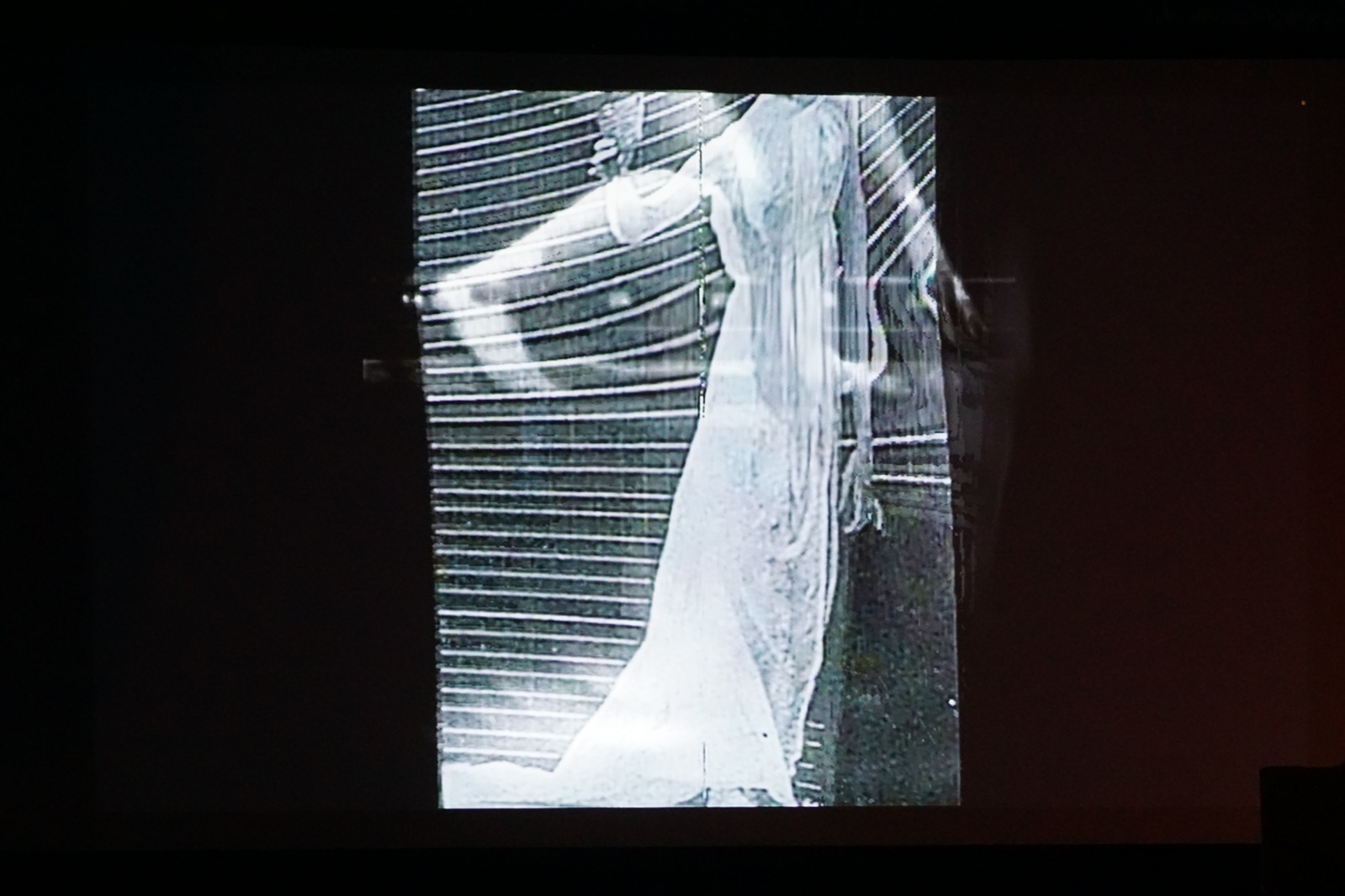 „Muybridge - reminiscencje” performans audiowizualny