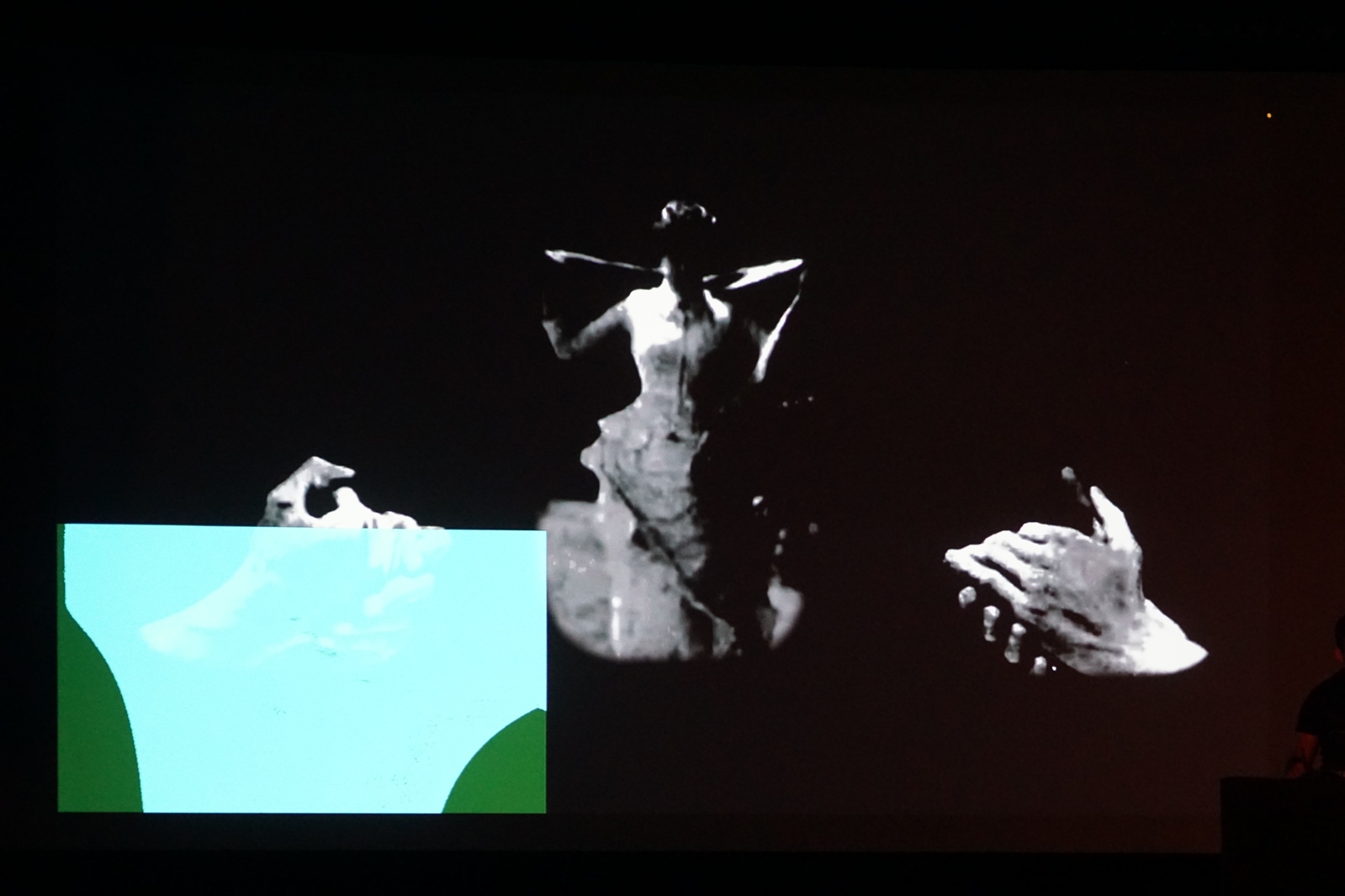 „Muybridge - reminiscencje” performans audiowizualny