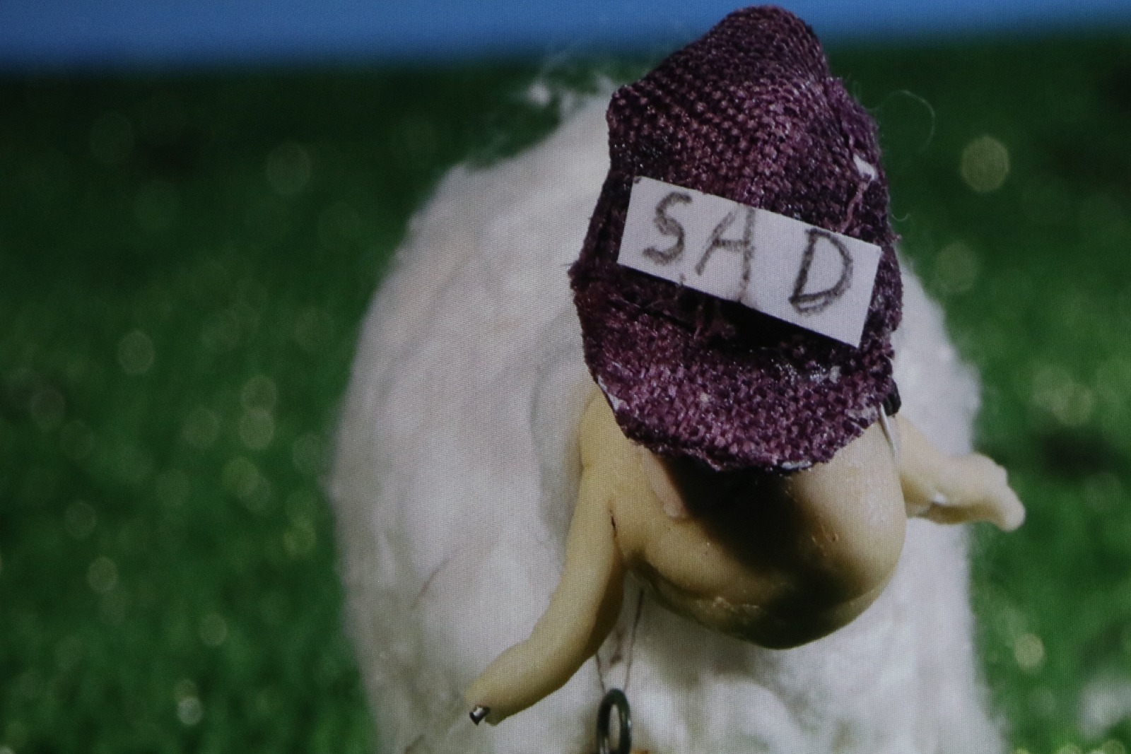 Gala festiwalowa LAF i uroczyste wręczenie nagród laureatom