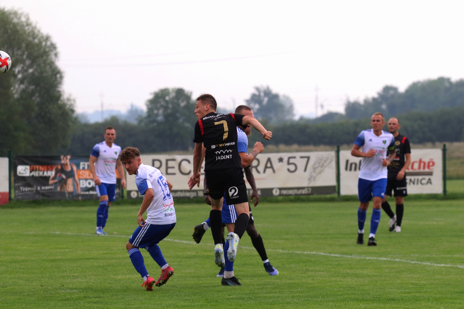 Szok! Mewa zdemolowała Karkonosze Jelenia Góra