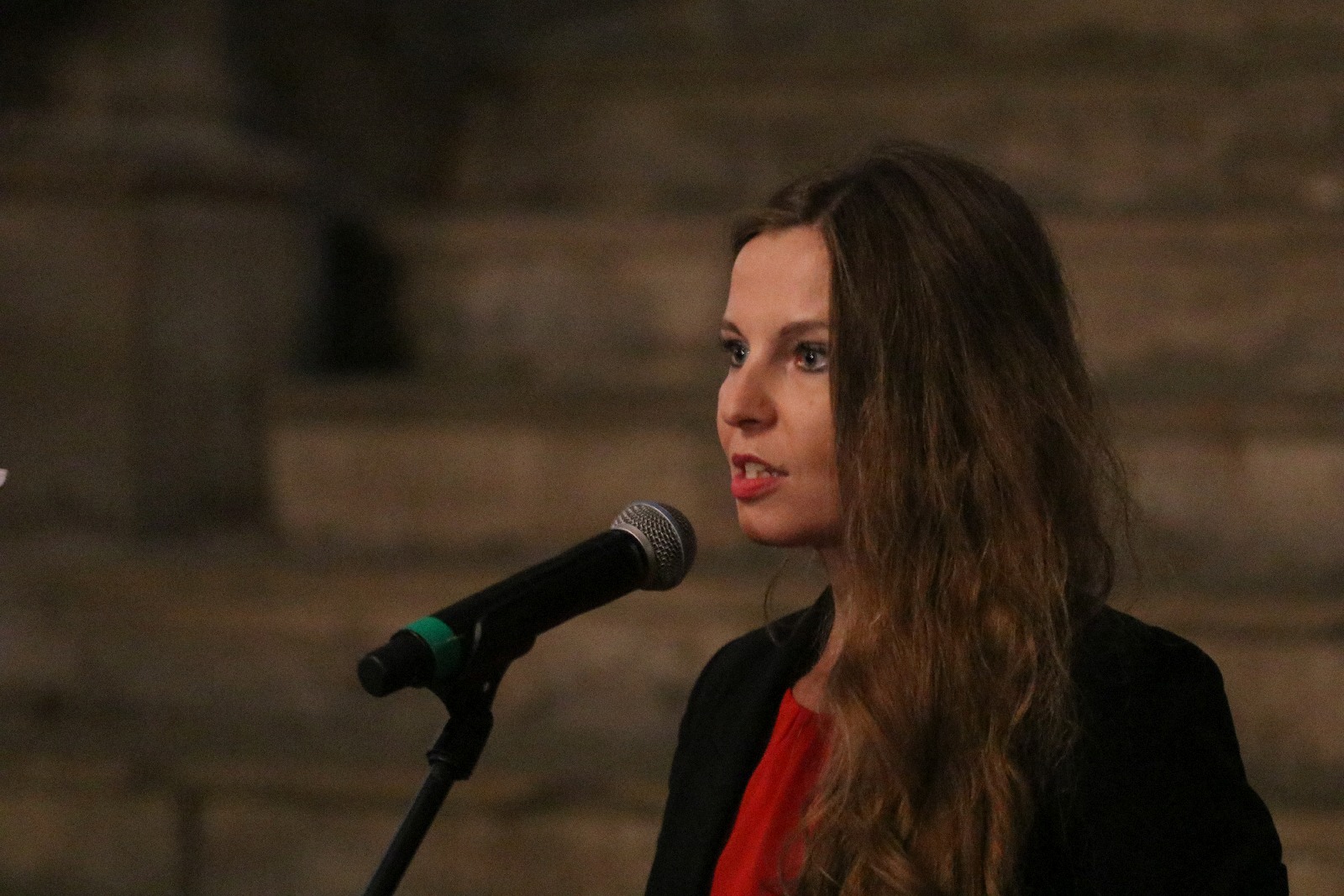 Koncert Łukasza Długosza i Romana Peruckiego podczas LWO