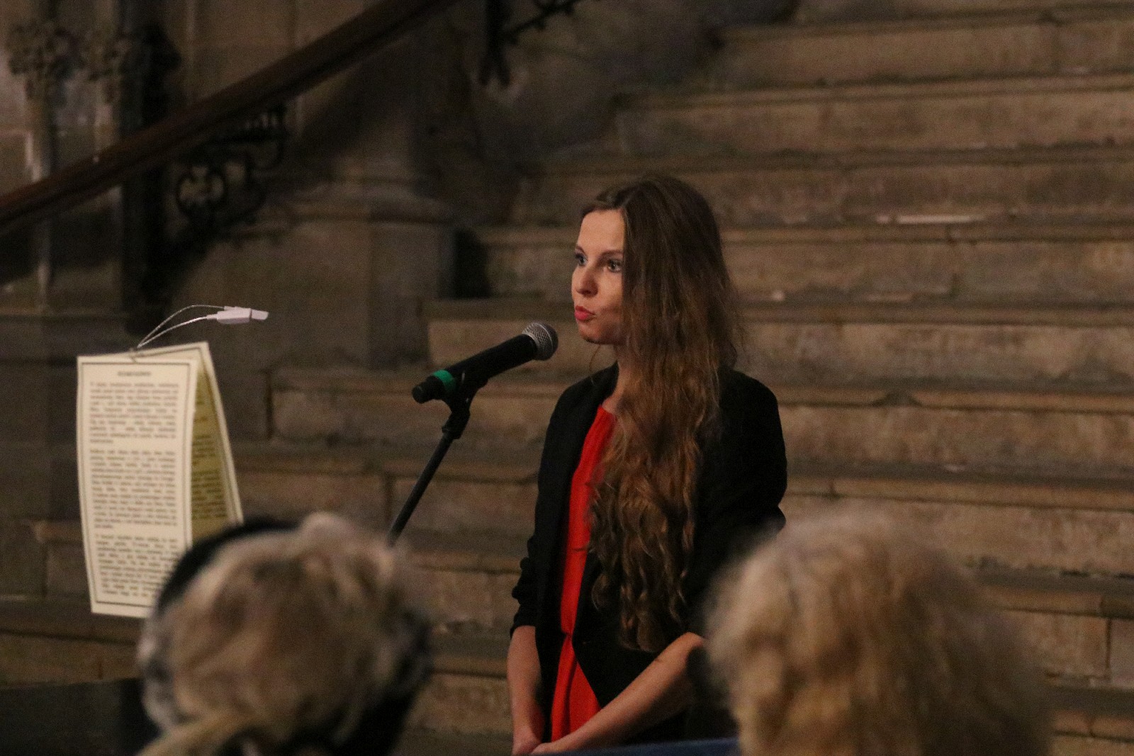 Koncert Łukasza Długosza i Romana Peruckiego podczas LWO