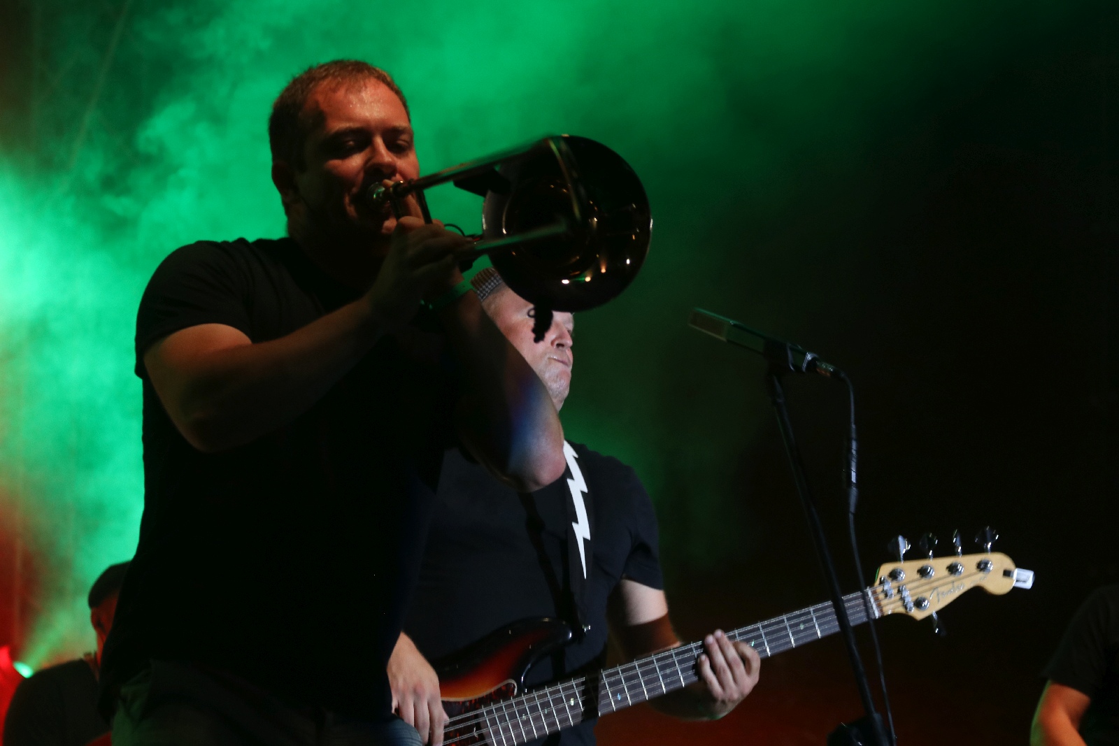 Festiwal Reggae Nad Jeziorem: Cała Góra Barwinków