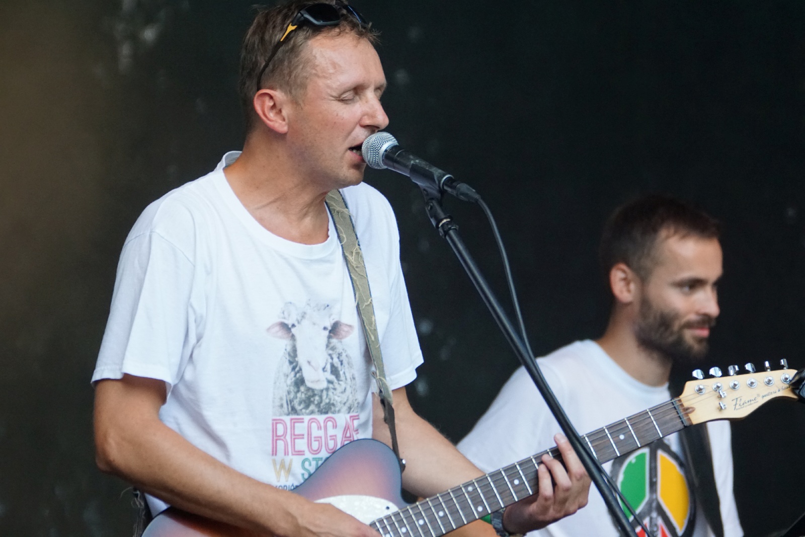 Festiwal Reggae Nad Jeziorem: Żywica, Ragabarabanda i Pajujo