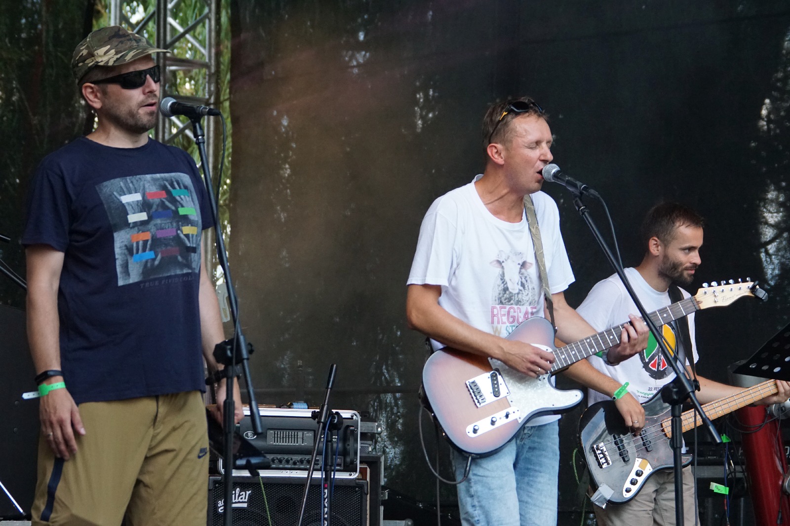 Festiwal Reggae Nad Jeziorem: Żywica, Ragabarabanda i Pajujo