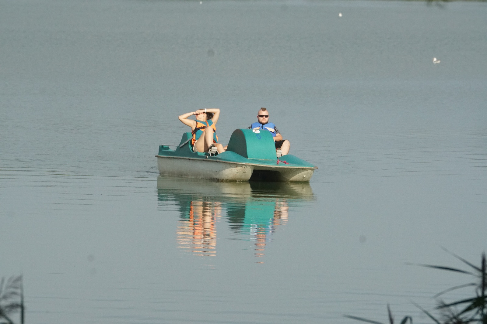 Festiwal Reggae Nad Jeziorem: Żywica, Ragabarabanda i Pajujo