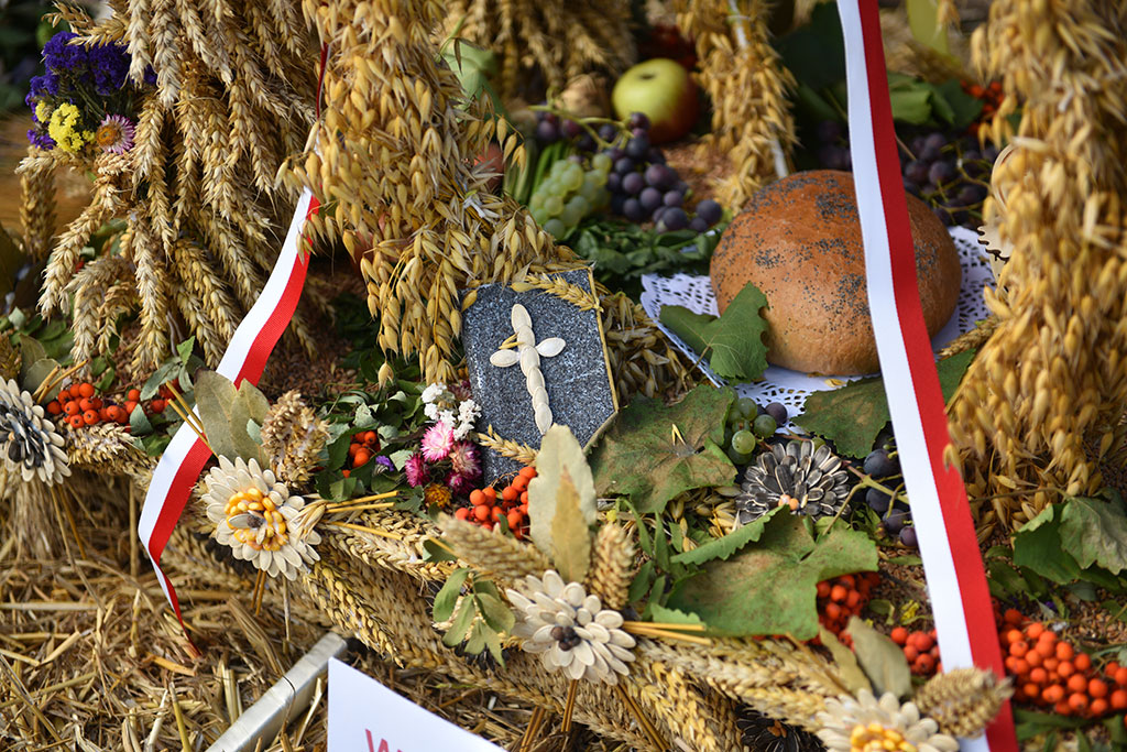 Święto plonów gminy Krotoszyce odbyło się w Winnicy