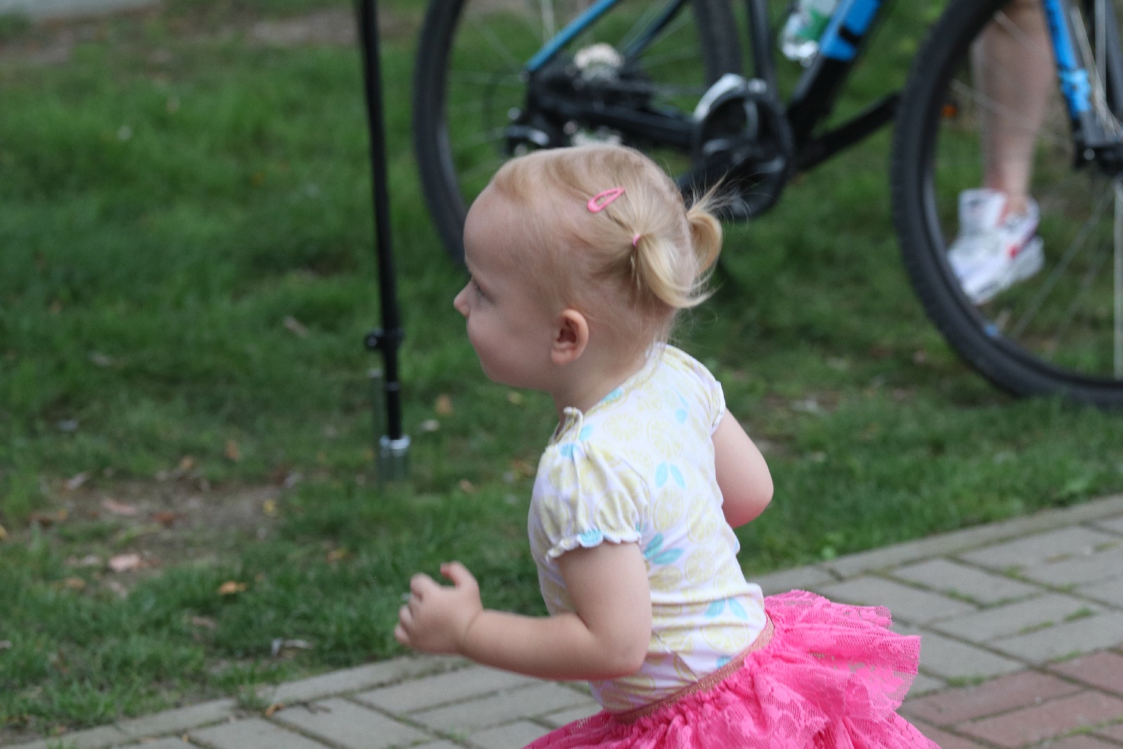 Festiwal Reggae Nad Jeziorem: Żywica, Ragabarabanda i Pajujo