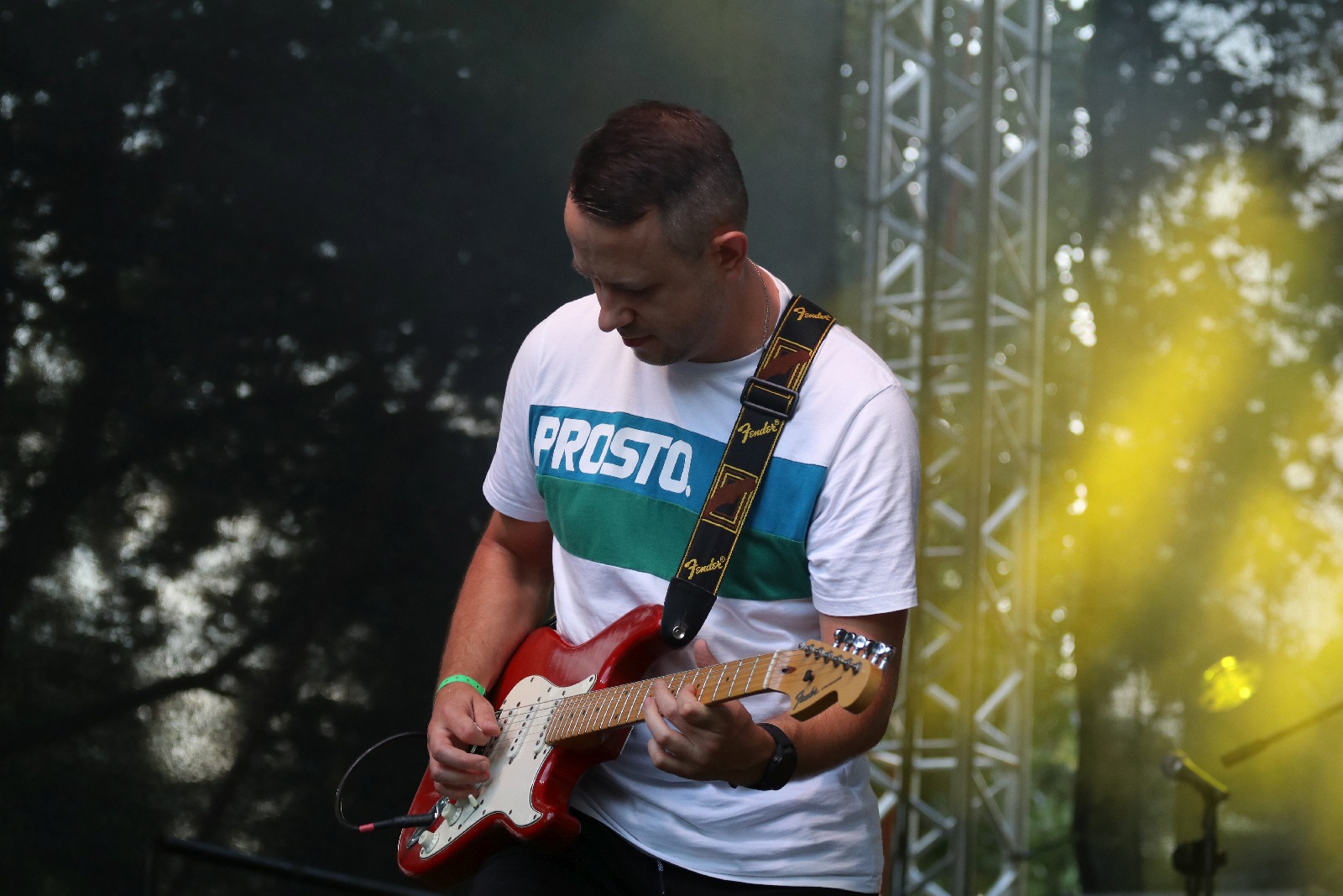 Festiwal Reggae Nad Jeziorem: Żywica, Ragabarabanda i Pajujo