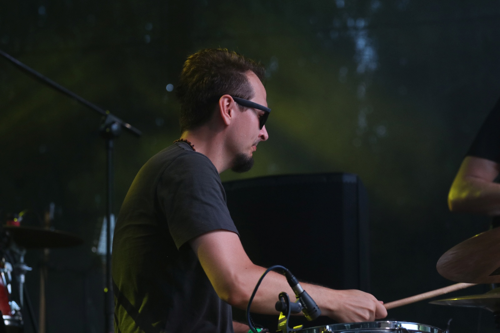 Festiwal Reggae Nad Jeziorem: Żywica, Ragabarabanda i Pajujo