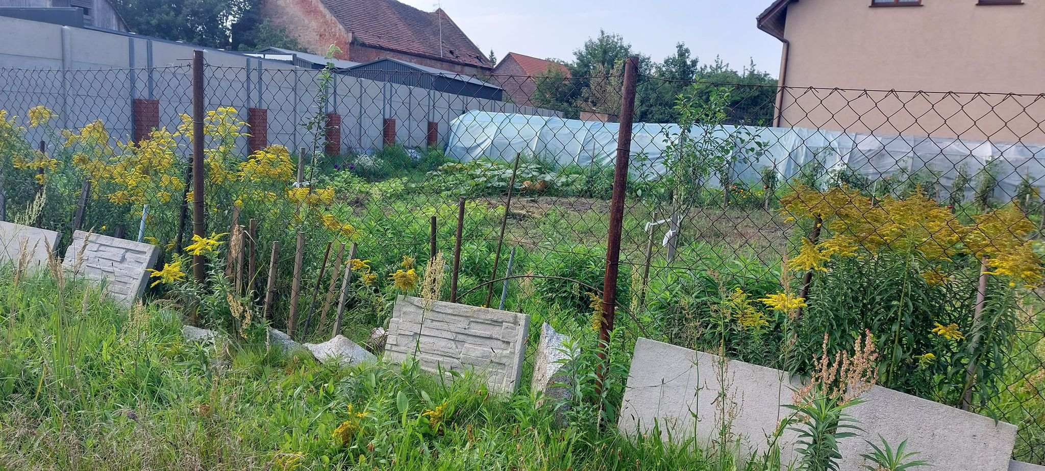 Okolice ulicy Słubickiej po każdej nocnej wizycie dzików