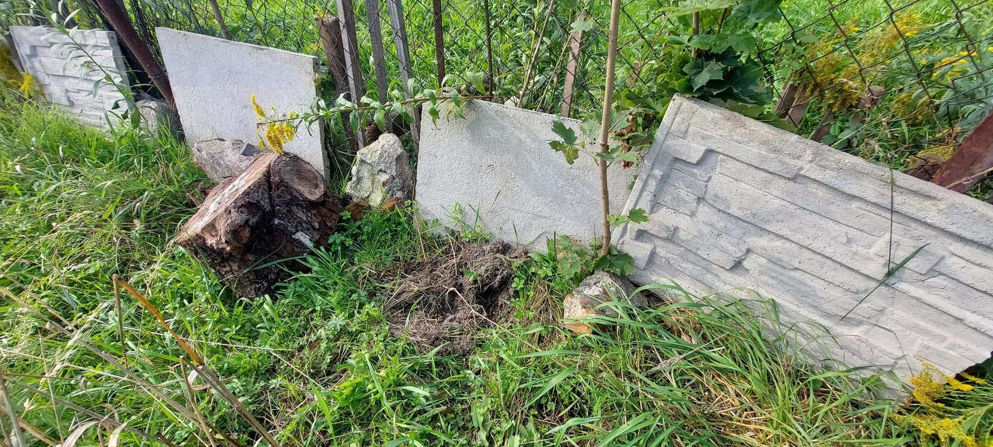 Okolice ulicy Słubickiej po każdej nocnej wizycie dzików