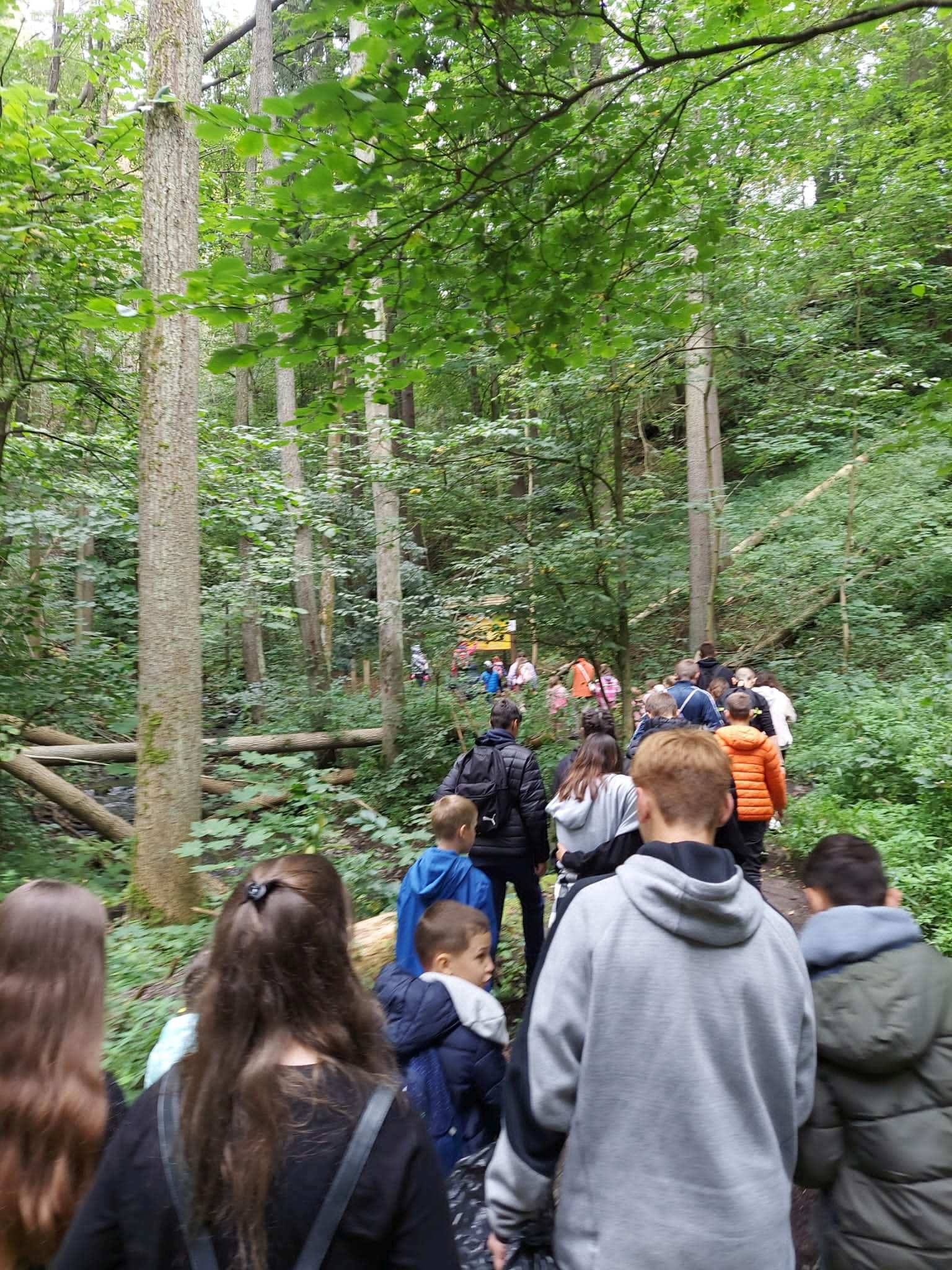 Pomagamy i Kropka zaprasza do udziału w nowym projekcie
