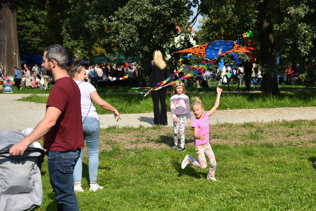 Pogoda przyciągnęła całe rodziny na Legnicki Dzień Latawca