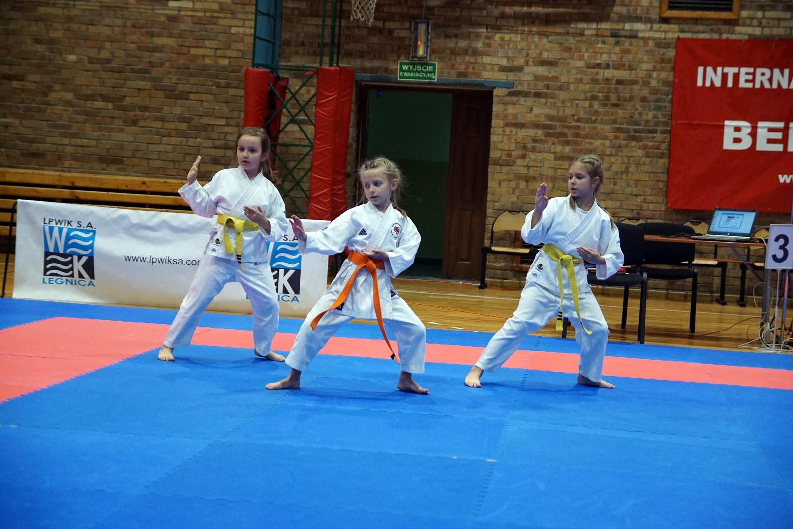 XXXI Mistrzostwa Ziemi Legnickiej w karate sportowym