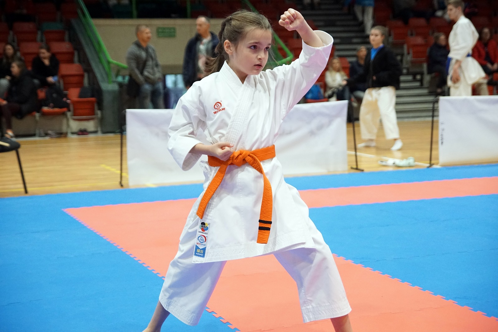XXXI Mistrzostwa Ziemi Legnickiej w karate sportowym