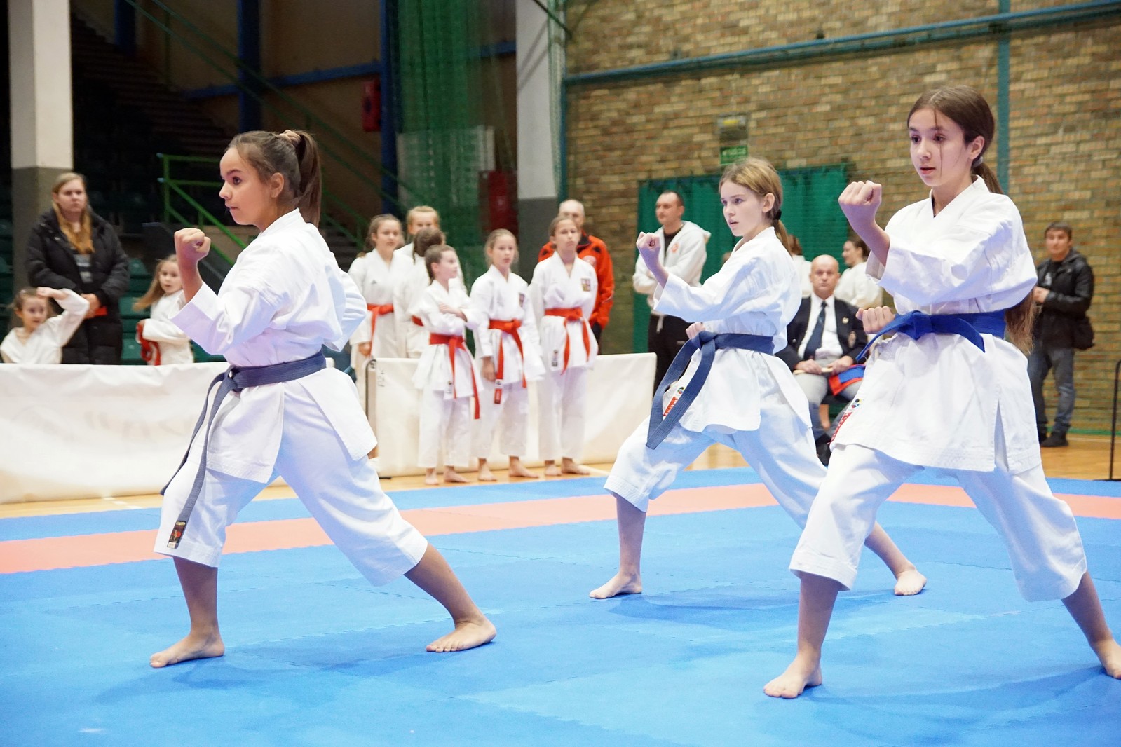 XXXI Mistrzostwa Ziemi Legnickiej w karate sportowym