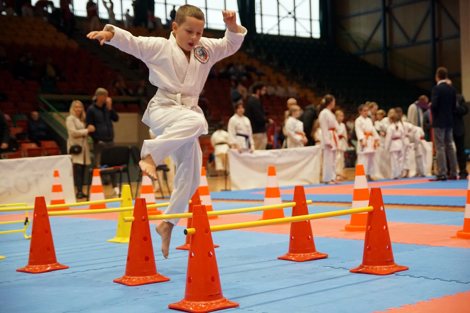 XXXI Mistrzostwa Ziemi Legnickiej w karate sportowym