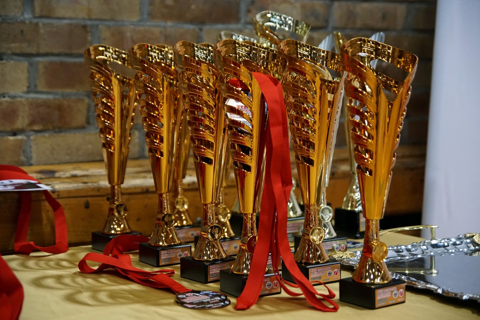 XXXI Mistrzostwa Ziemi Legnickiej w karate sportowym