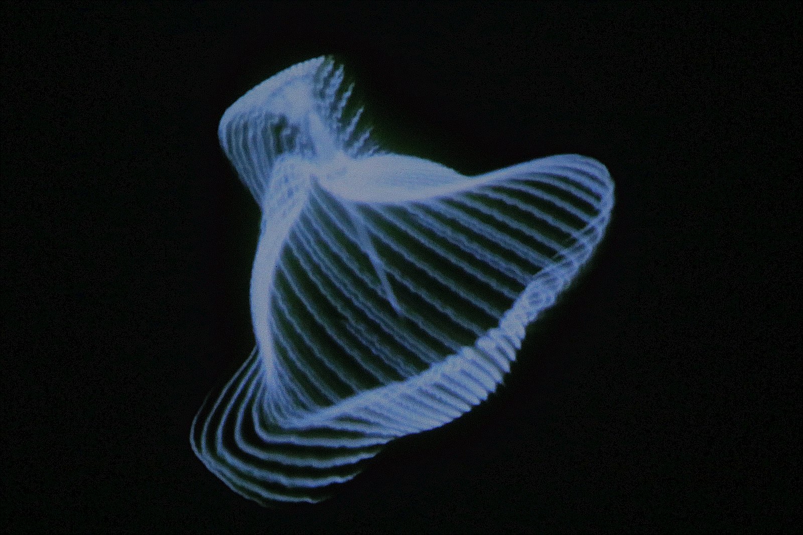 Intermediale Festival 2022. Wystawa „Videosyntezy 2”