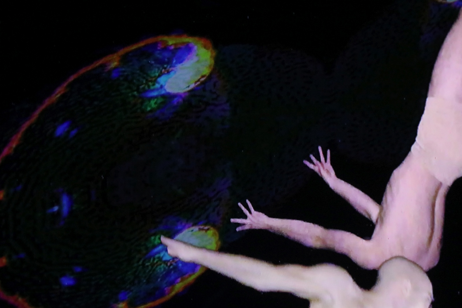 Intermediale Festival 2022. Wystawa „Videosyntezy 2”