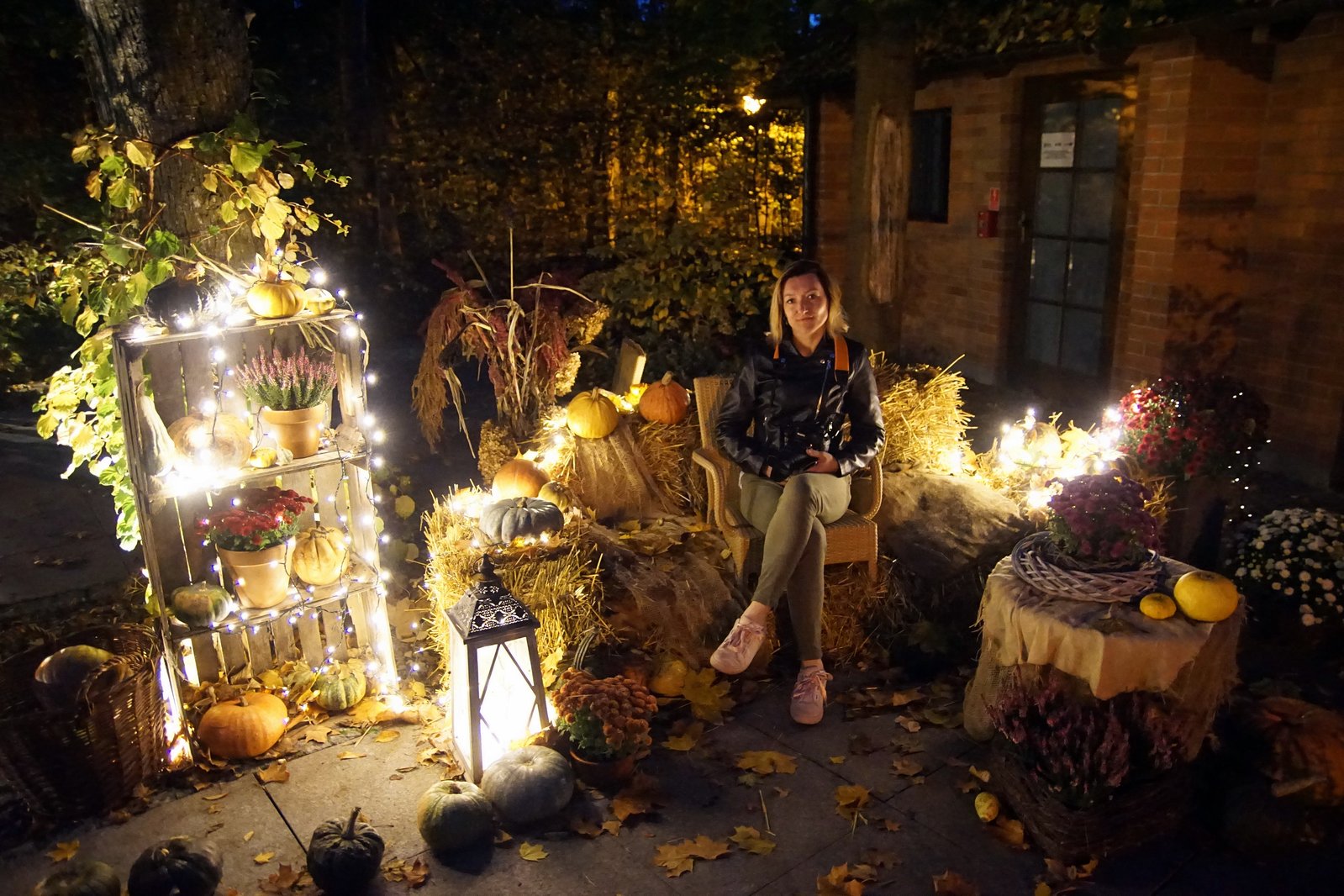 Zobaczcie „Tajemnicze Ogrody” w Lumina Park w zamku Topacz