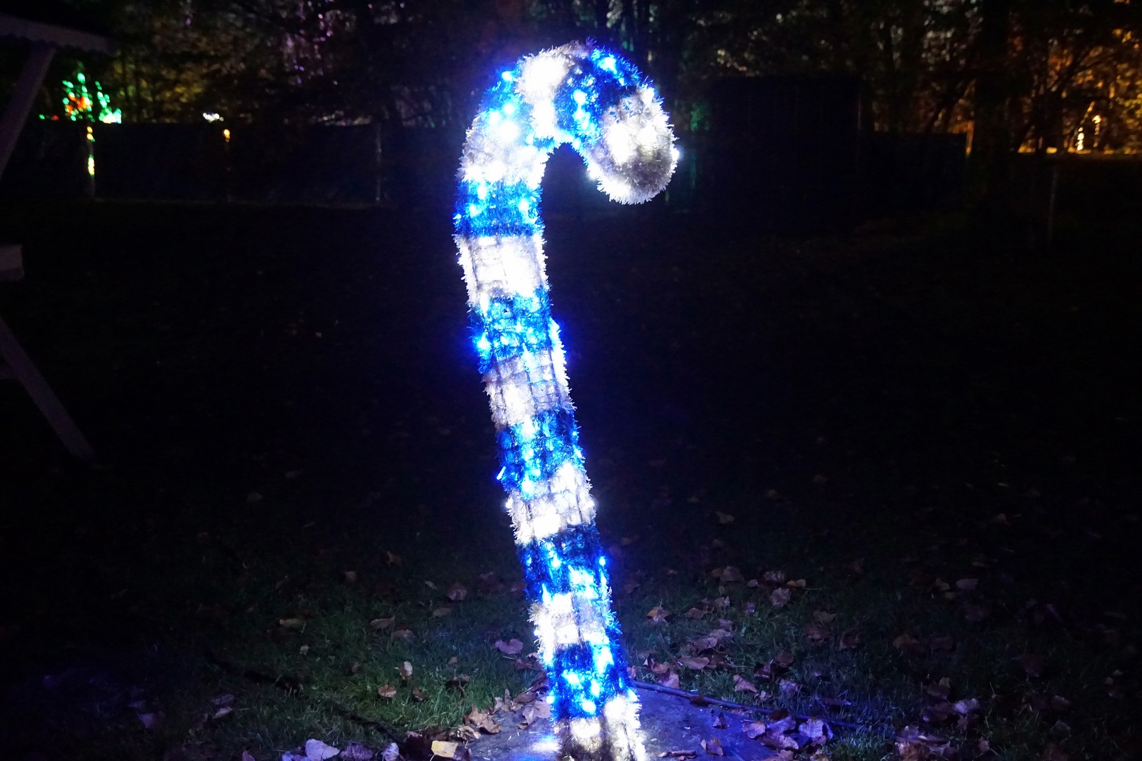 Zobaczcie „Tajemnicze Ogrody” w Lumina Park w zamku Topacz