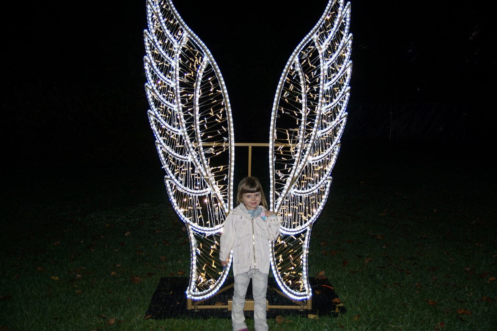 Zobaczcie „Tajemnicze Ogrody” w Lumina Park w zamku Topacz