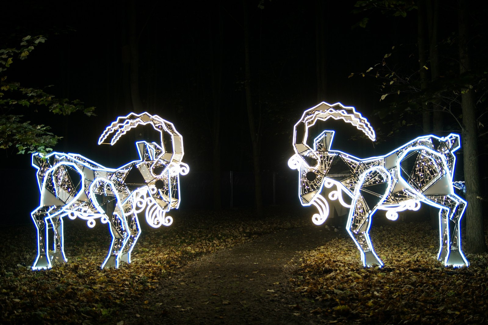 Zobaczcie „Tajemnicze Ogrody” w Lumina Park w zamku Topacz