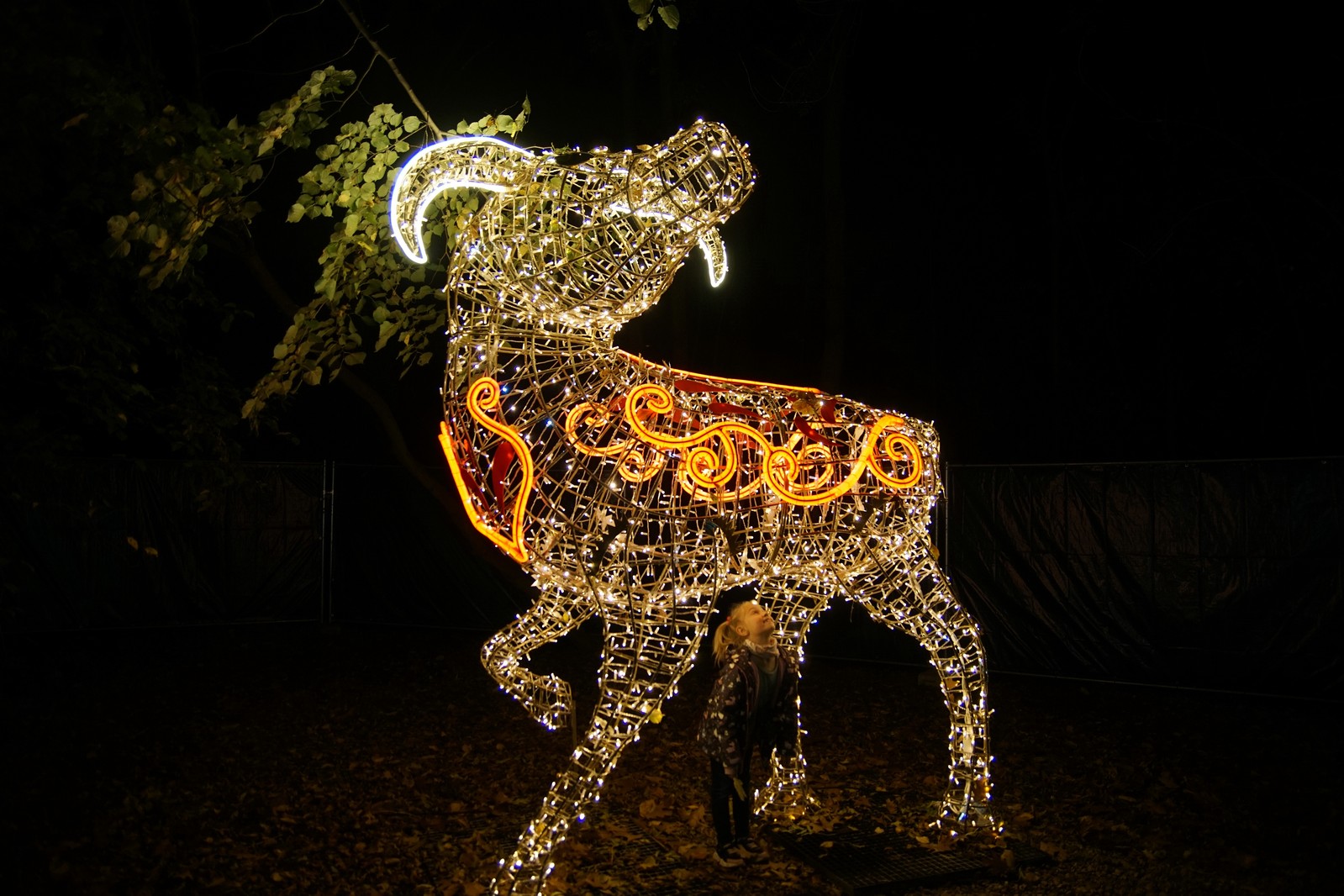 Zobaczcie „Tajemnicze Ogrody” w Lumina Park w zamku Topacz