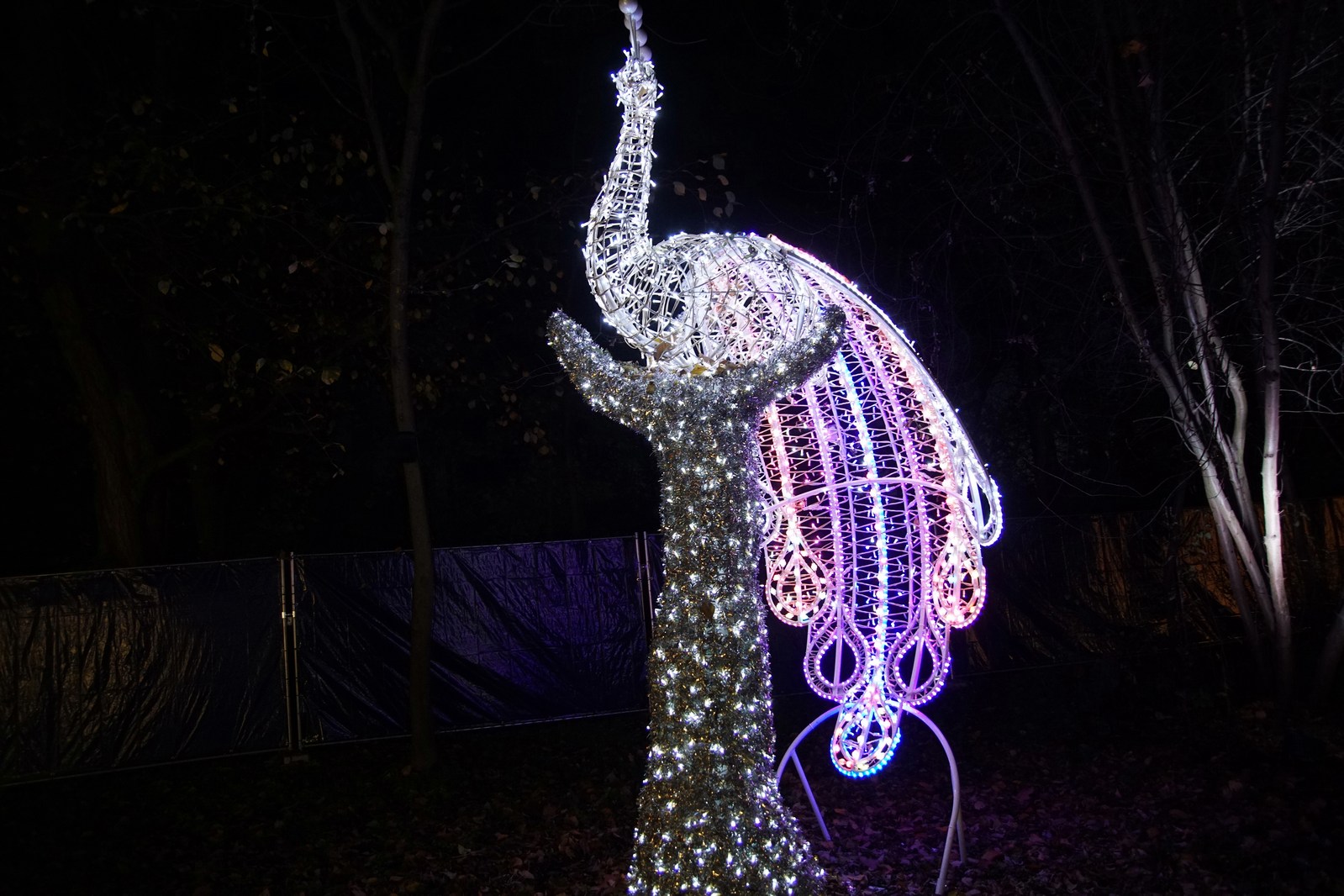 Zobaczcie „Tajemnicze Ogrody” w Lumina Park w zamku Topacz