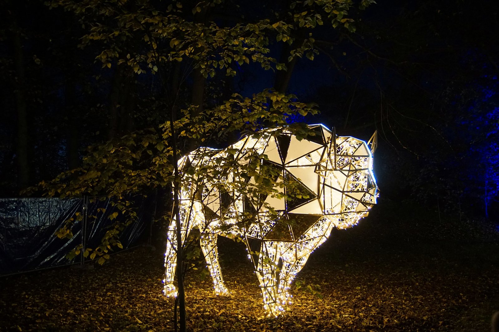 Zobaczcie „Tajemnicze Ogrody” w Lumina Park w zamku Topacz