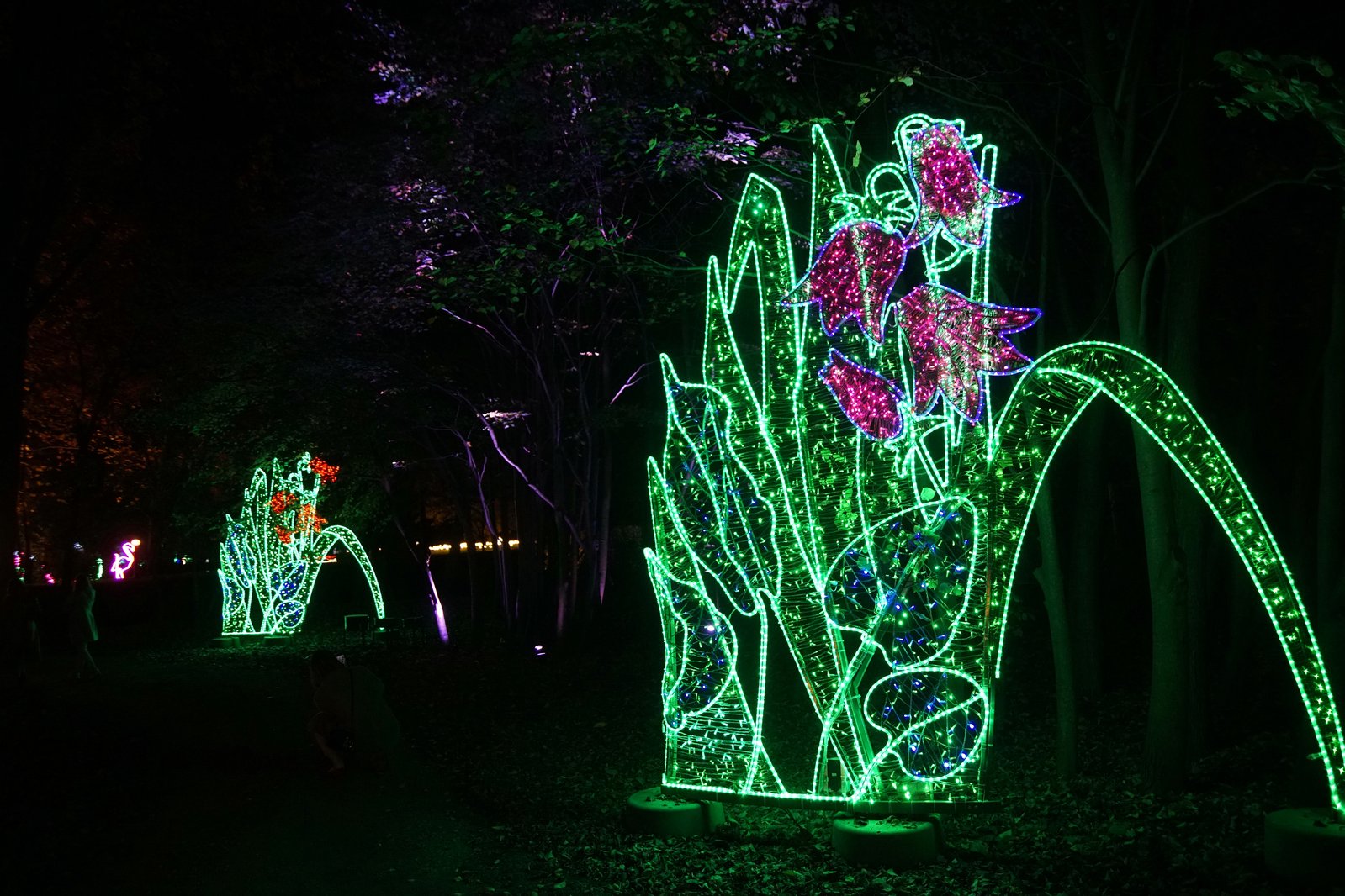 Zobaczcie „Tajemnicze Ogrody” w Lumina Park w zamku Topacz