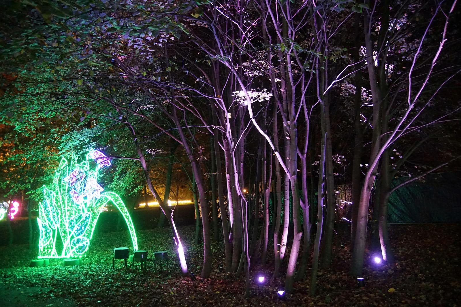 Zobaczcie „Tajemnicze Ogrody” w Lumina Park w zamku Topacz