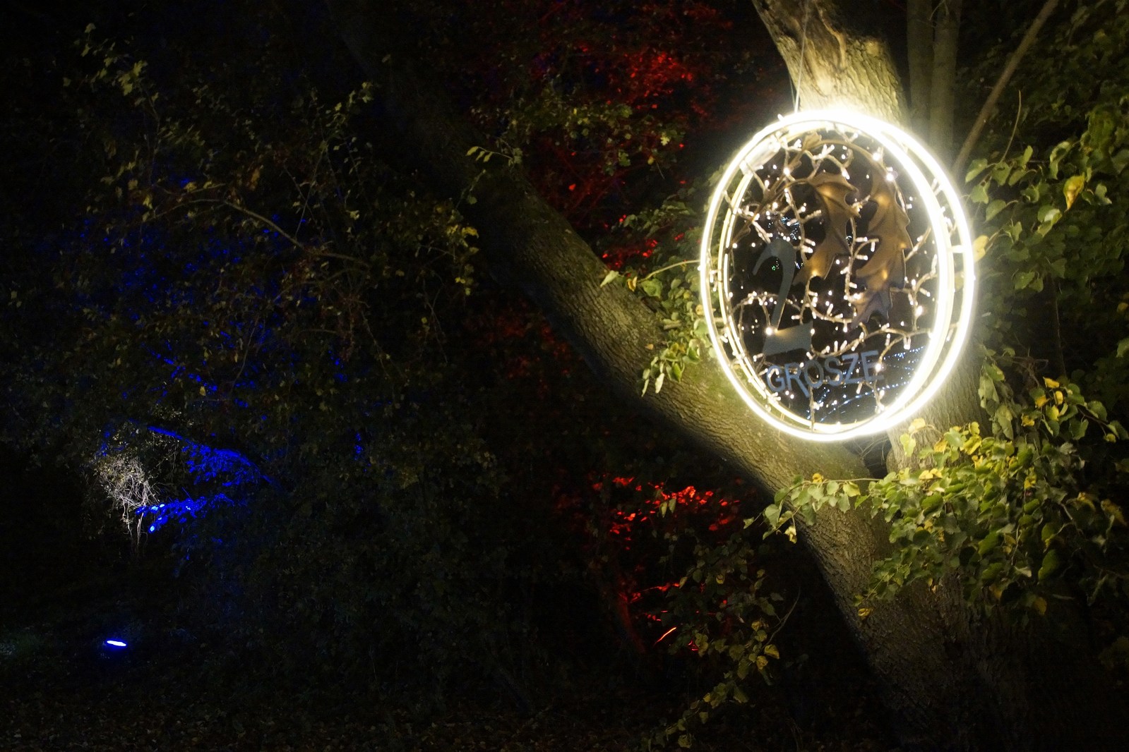 Zobaczcie „Tajemnicze Ogrody” w Lumina Park w zamku Topacz