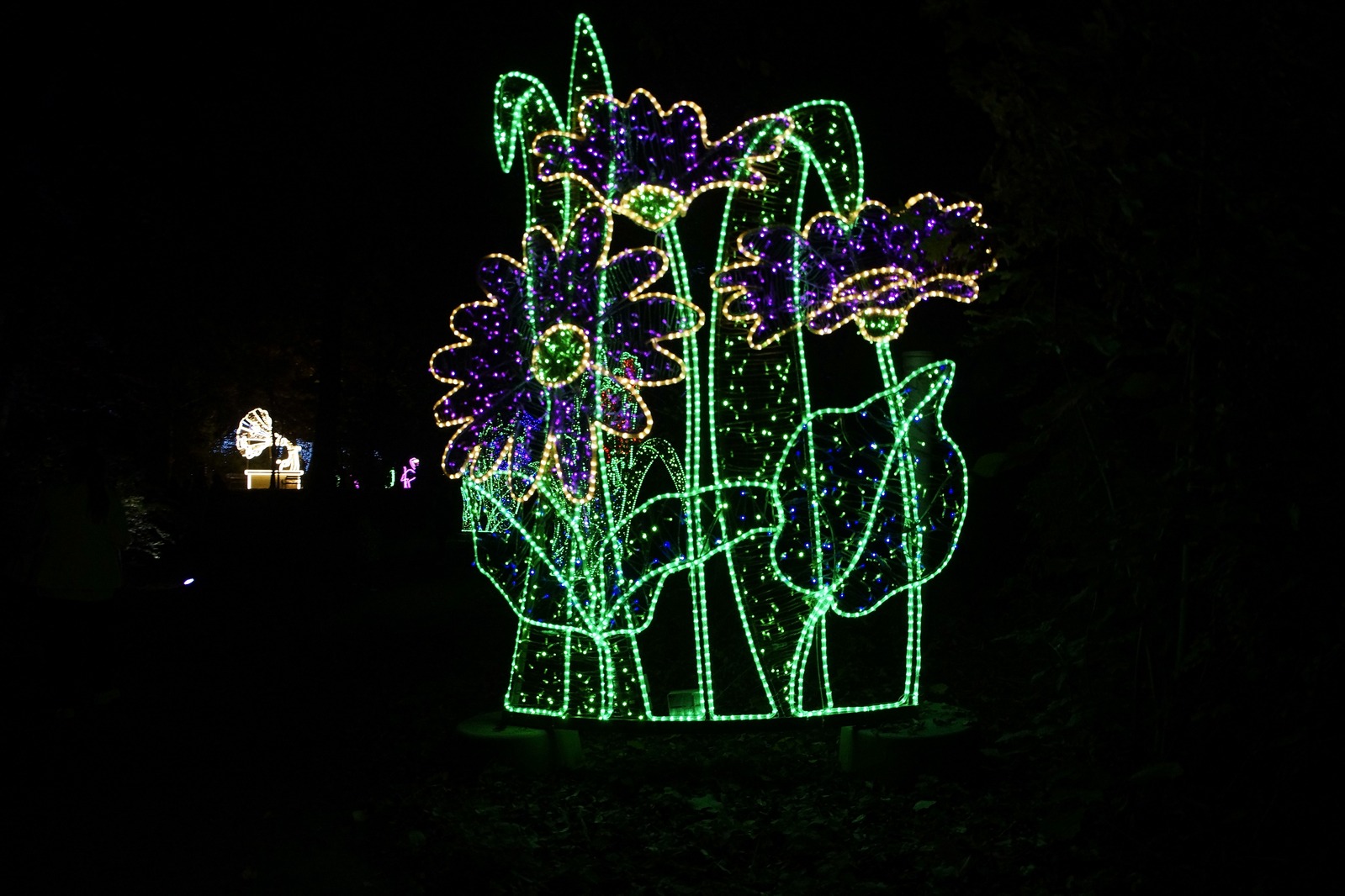 Zobaczcie „Tajemnicze Ogrody” w Lumina Park w zamku Topacz