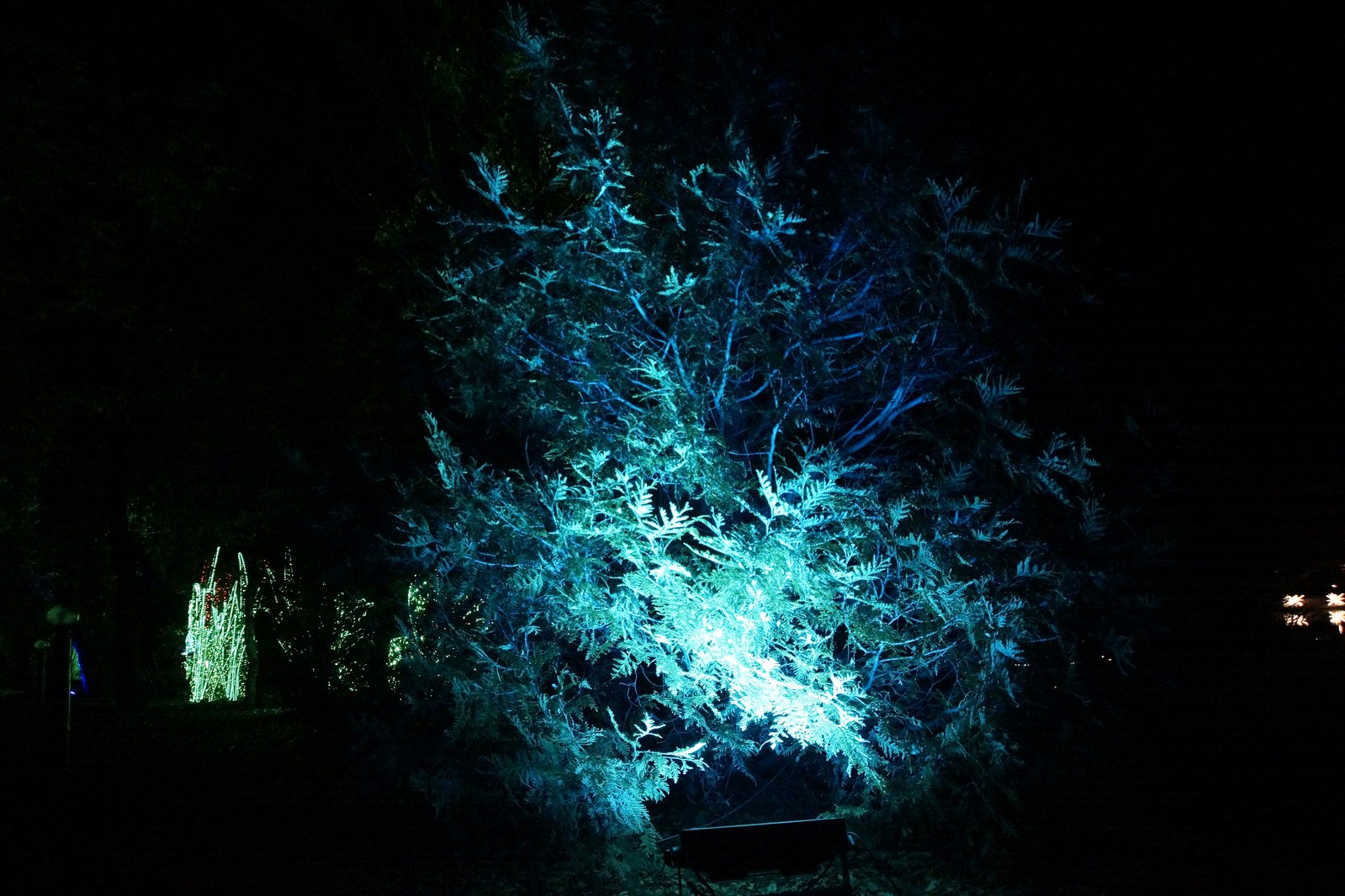 Zobaczcie „Tajemnicze Ogrody” w Lumina Park w zamku Topacz