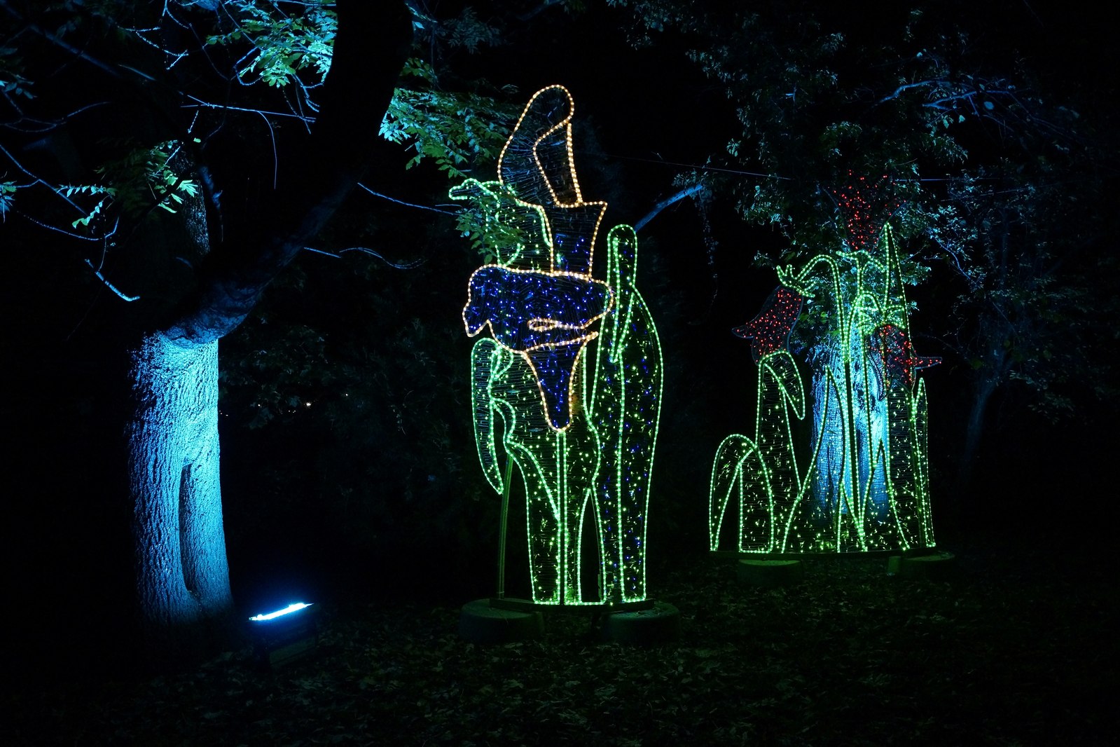 Zobaczcie „Tajemnicze Ogrody” w Lumina Park w zamku Topacz
