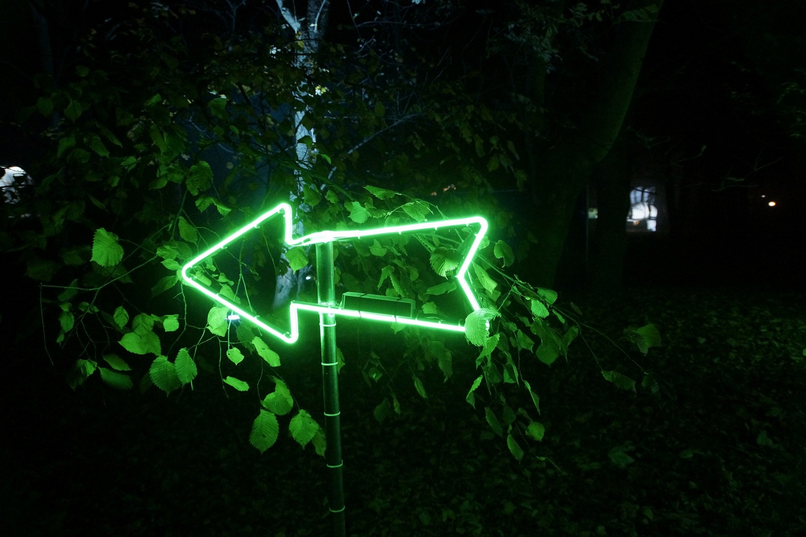 Zobaczcie „Tajemnicze Ogrody” w Lumina Park w zamku Topacz