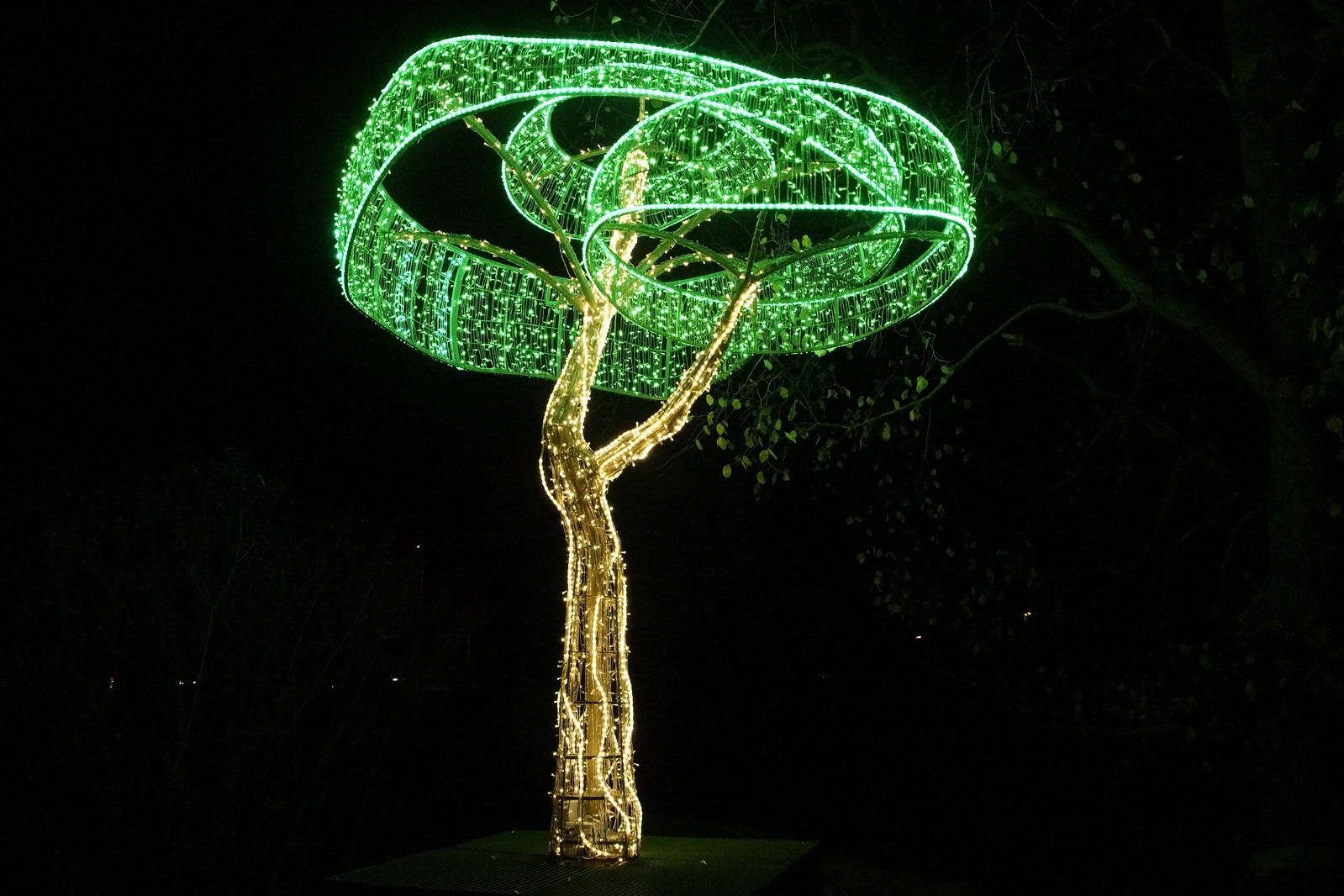 Zobaczcie „Tajemnicze Ogrody” w Lumina Park w zamku Topacz