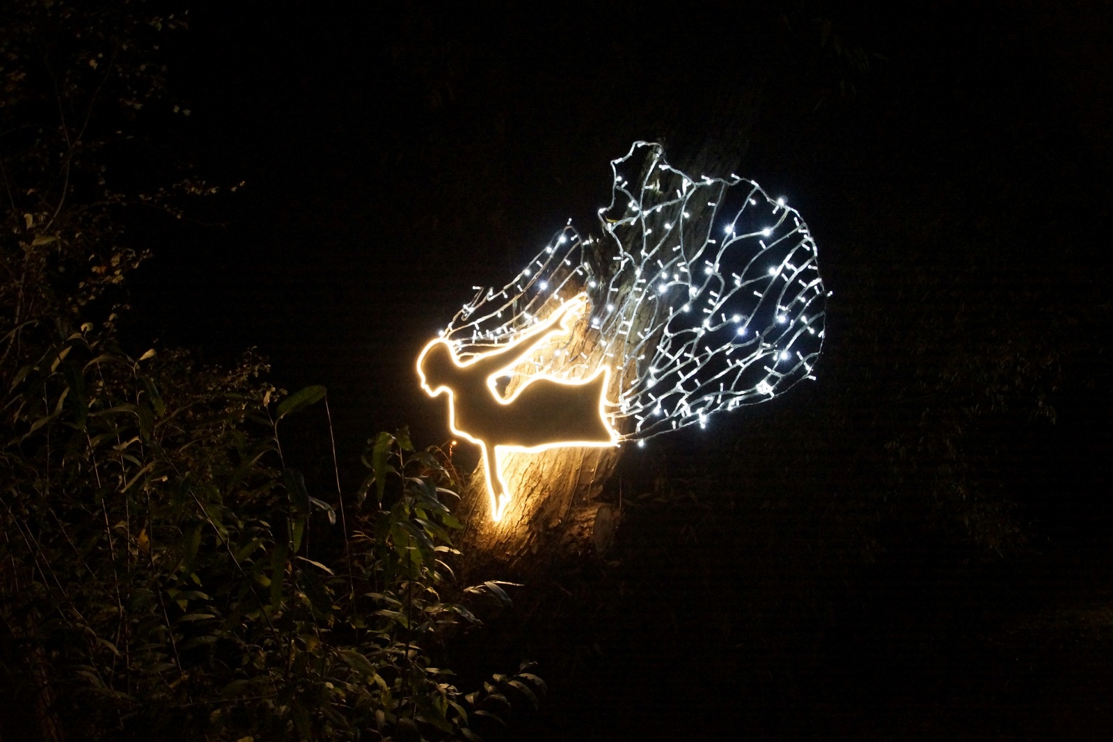 Zobaczcie „Tajemnicze Ogrody” w Lumina Park w zamku Topacz