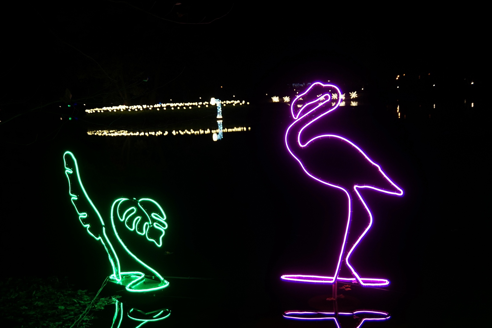 Zobaczcie „Tajemnicze Ogrody” w Lumina Park w zamku Topacz