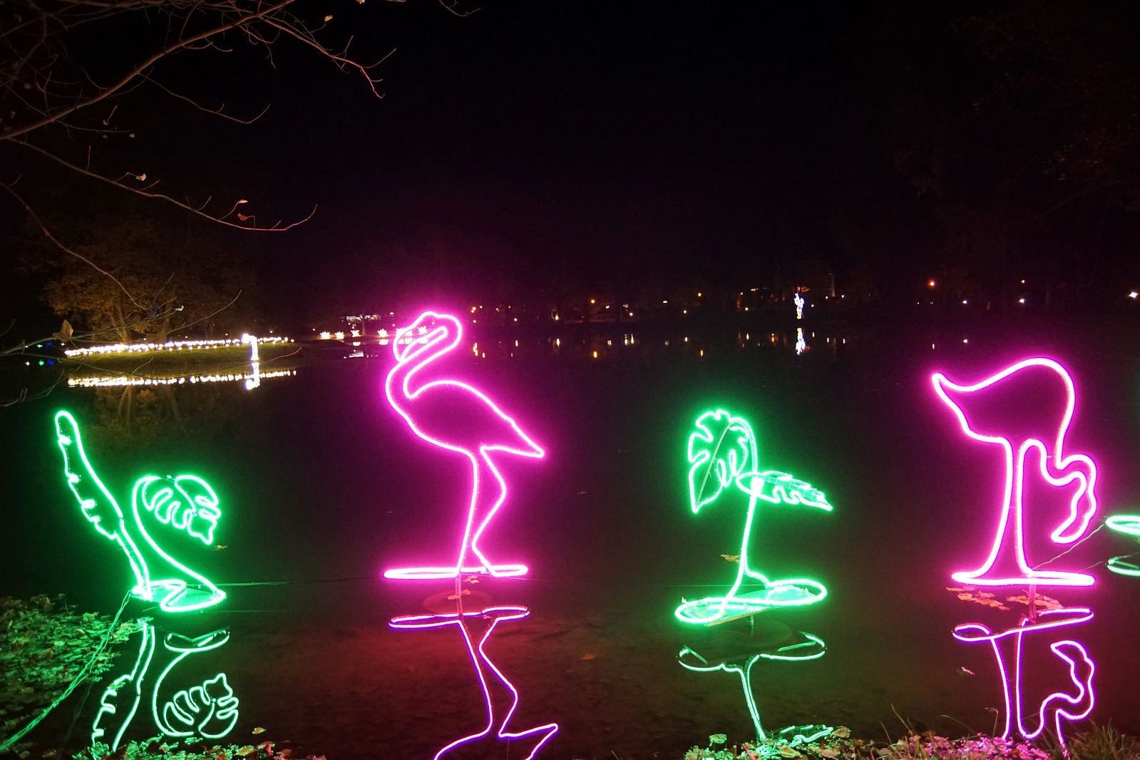 Zobaczcie „Tajemnicze Ogrody” w Lumina Park w zamku Topacz