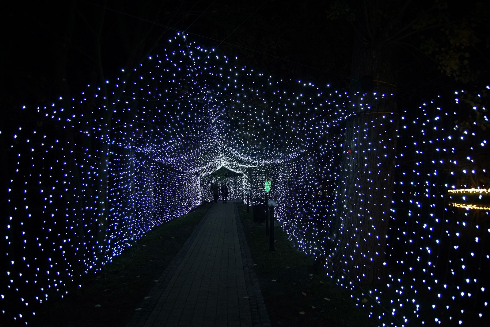 Zobaczcie „Tajemnicze Ogrody” w Lumina Park w zamku Topacz