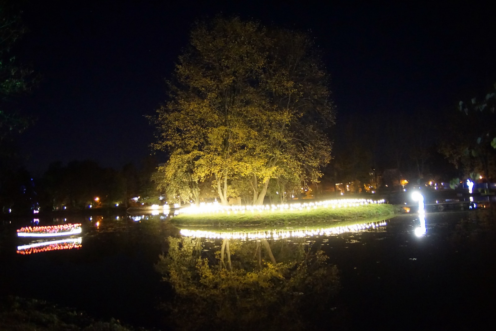Zobaczcie „Tajemnicze Ogrody” w Lumina Park w zamku Topacz