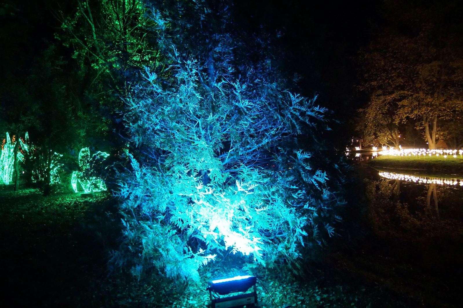 Zobaczcie „Tajemnicze Ogrody” w Lumina Park w zamku Topacz