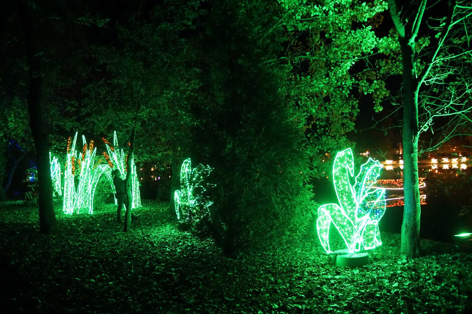 Zobaczcie „Tajemnicze Ogrody” w Lumina Park w zamku Topacz