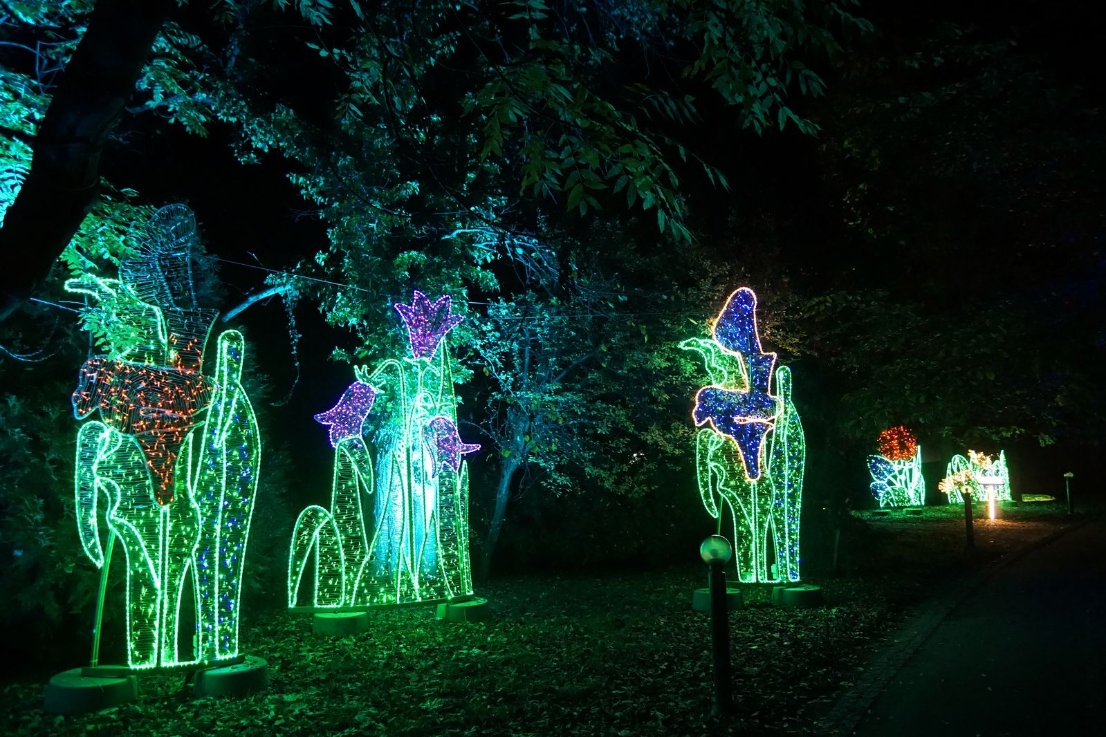 Zobaczcie „Tajemnicze Ogrody” w Lumina Park w zamku Topacz