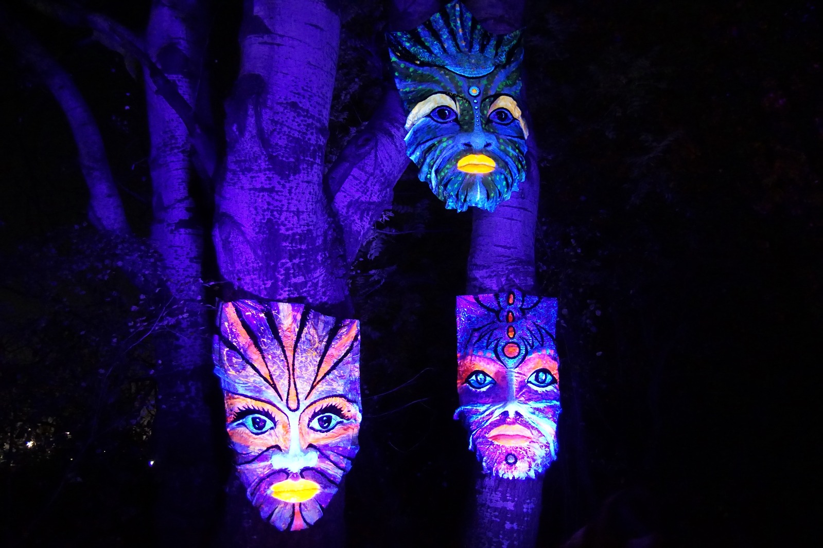 Zobaczcie „Tajemnicze Ogrody” w Lumina Park w zamku Topacz